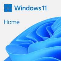Microsoft Windows 11 Home 64Bit, USB-Stick