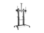 DIGITUS Collaboration Trolley / TV Präsentationswagen