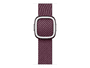 Apple Uhrarmband für Smartwatch - 41 mm - Größe M