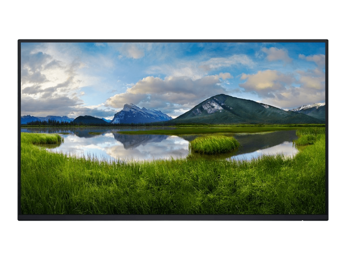 Dell P2425H, 23.8, Full HD (1920x1080), IPS, 100Hz, VGA, HDMI, DP,...