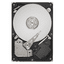 Lenovo Festplatte 3,5 SATA 1.000 GB - Festplatte - 7.200 rpm 8,2 ms - Intern