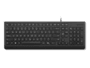 Lenovo Essential Wired Keyboard mit Copilot Taste, schwarz
