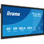 iiyama ProLite TE6515A, 65 Touch, 4K (3840x2160), IPS, HDMI DP USB-C,...