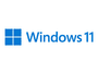 Microsoft Windows 11 Home 64Bit, USB-Stick