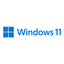 Microsoft Windows 11 Home 64Bit, USB-Stick