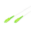 Digitus DK-2922A-10-SCA-SX InfiniBand/Glasfaserkabel SC/APC Grün, Weiß