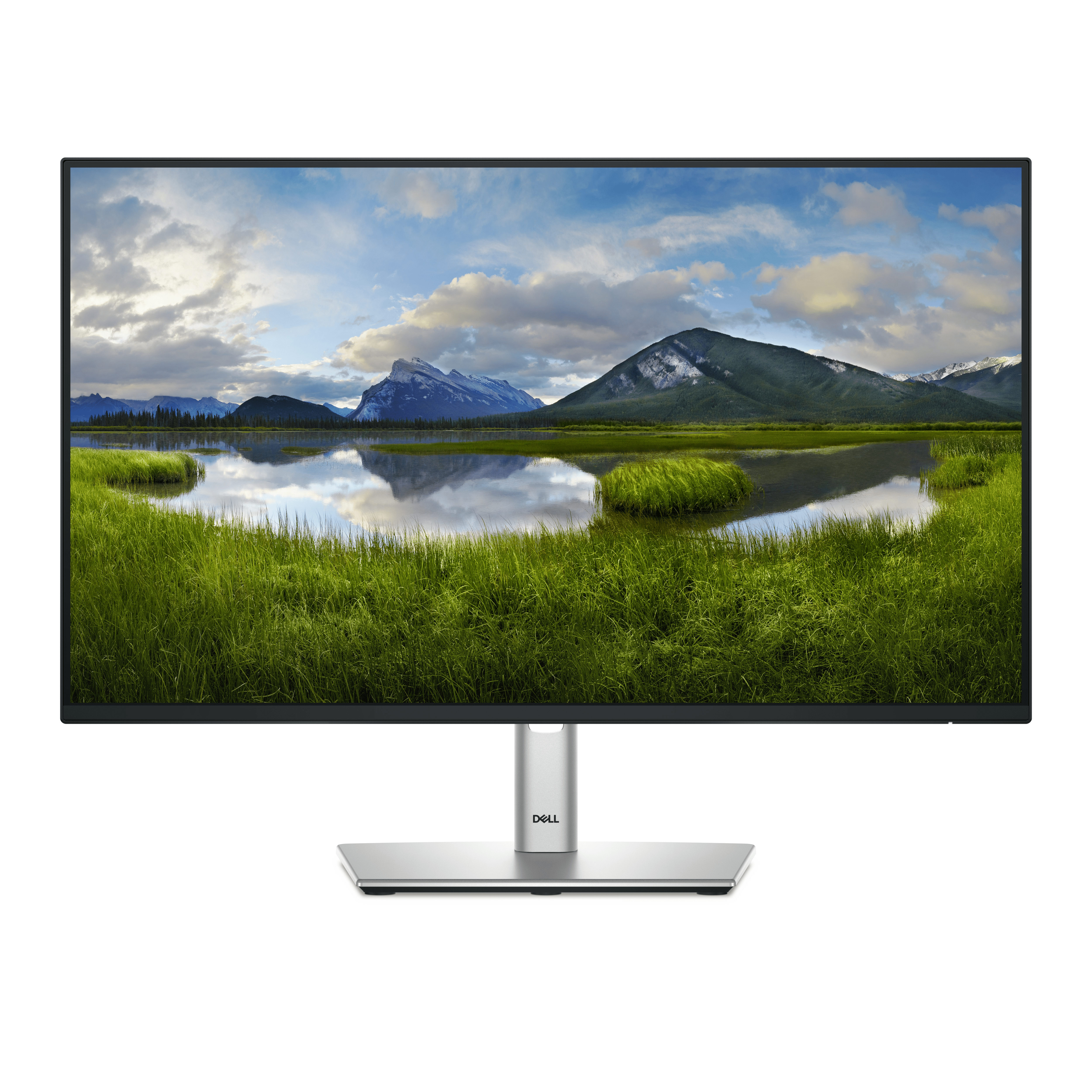 Dell P2425HE, 23.8, Full HD (1920x1080), IPS, 100Hz, HDMI, DP, USB-C, RJ45,...
