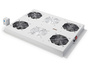 DIGITUS Professional DN-19 FAN-4-SRV - Rack-Zubehör - RAL 7.035