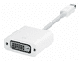 Apple Mini DisplayPort/DVI Adapter