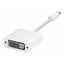 Apple Mini DisplayPort/DVI Adapter