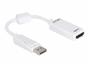 DeLOCK - Video- / Audio-Adapter - DisplayPort