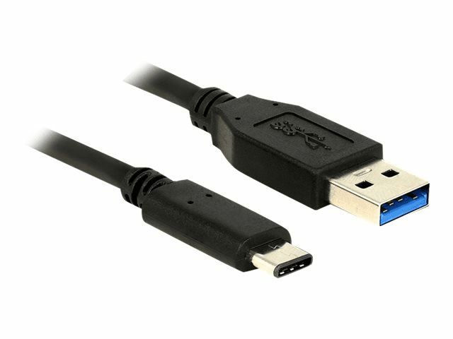 Delock USB cable - USB Typ C (M) bis USB Type A (M) - USB 3.1 Gen2