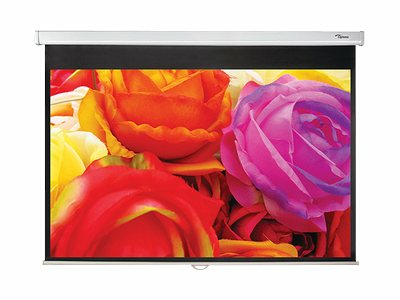 Optoma DS-1095PMG+ 95Zoll 16:10 Schwarz - Weiß Projektionsleinwand