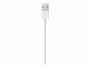Apple Lightning auf USB Kabel (1 m)