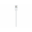 Apple Lightning auf USB Kabel (1 m)