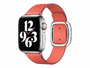 Apple Watch 40mm Modernes Lederarmband, zitruspink, groß