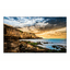 Samsung QE55T, 55, 4K (3840x2160), HDMI, DP, Wi-Fi, Tizen, Lautsprecher