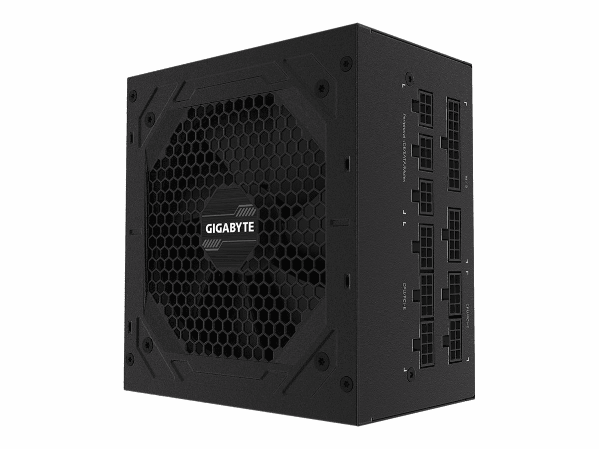 Gigabyte P850GM - Netzteil (intern) - ATX12V 2.31