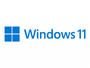 Microsoft Windows 11 Pro 64Bit, DSP/SB