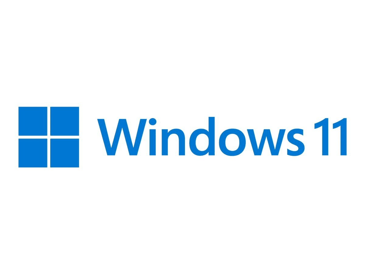 Microsoft Windows 11 Pro 64Bit, DSP/SB