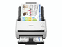 Epson WorkForce DS-530II - Dokumentenscanner - Duplex